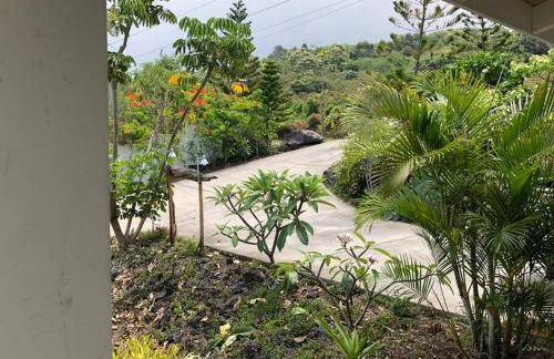 The Pineapple Express Hot Tub Volcano 65 Mi Away - Foto 7