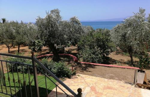 ΚΤΗΜΑ ΠΑΥΛΟΜΠΕΗ OLIVE & SEA - Foto 3