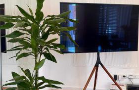 AMAO-Indigo - Business Apartment - Balcony - Parking - Photo 2