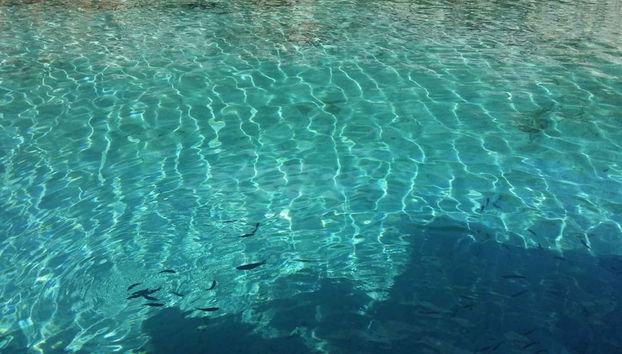 Viagem de Barco pela Península de Bodrum - Foto 2