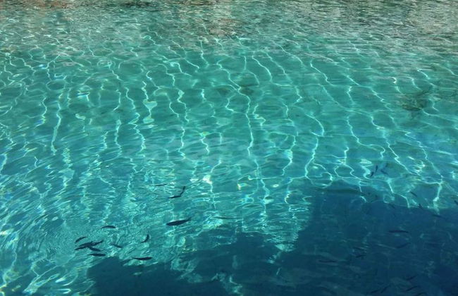 Viagem de Barco pela Península de Bodrum - Foto 2