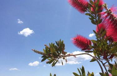 Seaside apartment - Photo 29