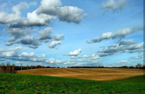 W starej szkole - agroturystyka - Foto 74