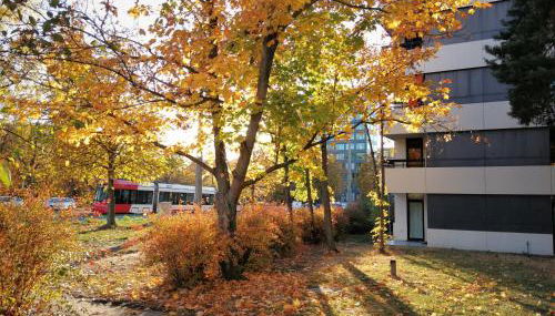 Central-Apt at Lake, CityCenter 5min, Fair 18min!!! - Foto 2