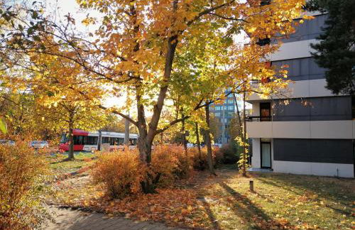 Central-Apt at Lake, CityCenter 5min, Fair 18min!!! - Foto 2