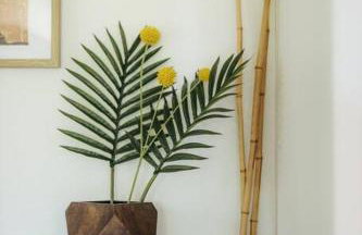 The Kumu House - Photo 52