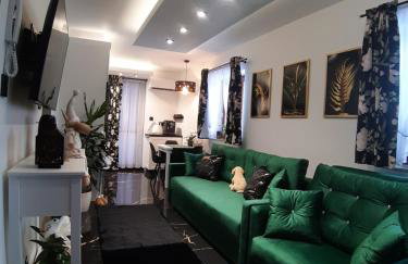 Apartament Górski Potok Murzasichle Apartamenty Murzasichle PL - Foto 1