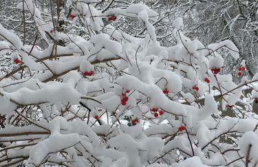 Am Dürrenbachtal - Photo 25