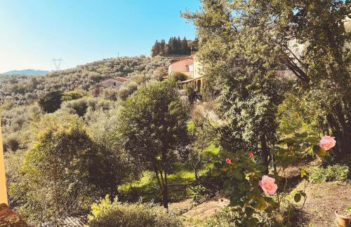 Renovated Tuscan Home overlooking Vineyards - Photo 19