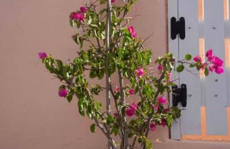 Bird Nest-Santorini Cave houses - Foto 22