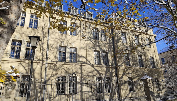 Blick auf den Garten