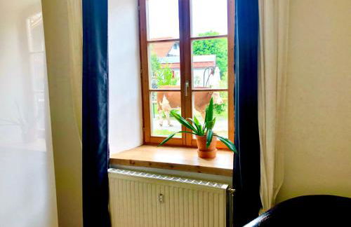 Ferienwohnungen Daserhaus Holiday Apartments - Foto 5