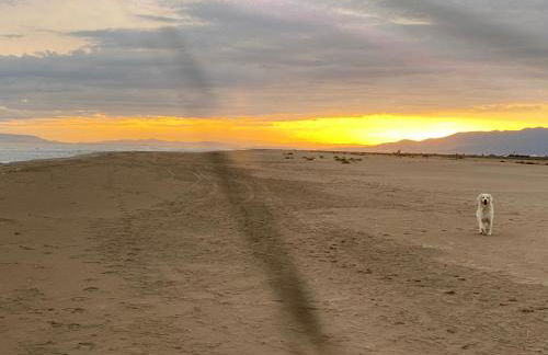 La Calma del Delta - Foto 28