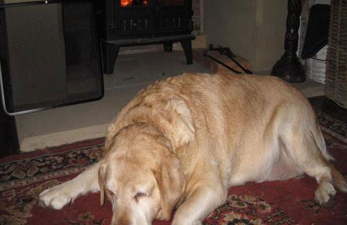 Keepers Cottage Serviced Accommodation Yorkshire - Foto 30