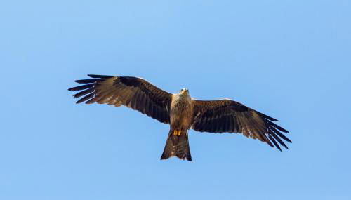 Appartement Roter Milan - Foto 2