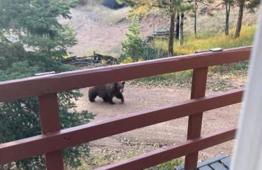 Cozy Cabin - Foto 19