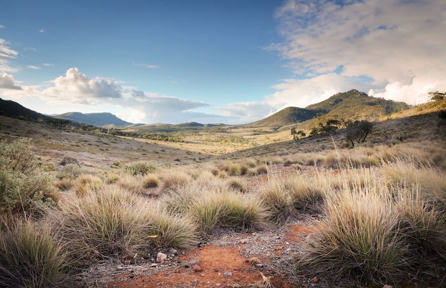 Pichi Richi Park - Foto 11