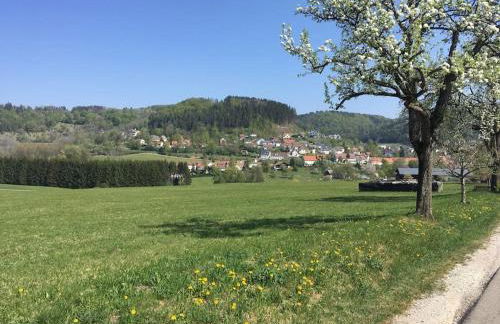 Ferienwohnung Albliebe - Foto 16