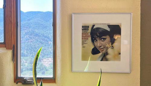 Galeria Viviente Eco Casita - Foto 4