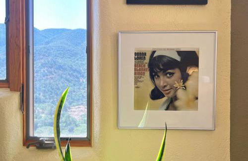 Galeria Viviente Eco Casita - Foto 4