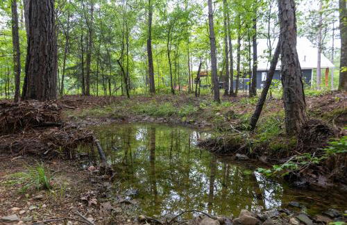 Crimson Creek Cabin - Hot Tub, Playset, Family-Friendly - Foto 42