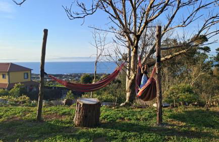 Biscoitos Top View - Photo 44