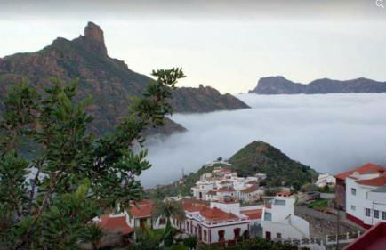 El Rinconcito de Tejeda - Foto 19