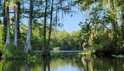 Wise Owl Retreat on the River - Foto 5