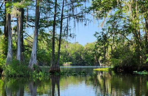 Wise Owl Retreat on the River - Foto 5