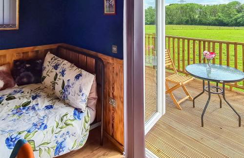 Badgers - Uk46750 - Foto 8