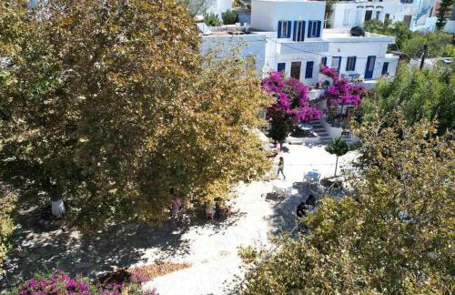 Apopsis Tinos View - Foto 41