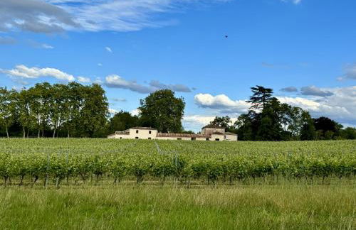 L'Eperonnette, cozy house with swimming pool, surrounded by vineyard, near St Emilion - Foto 49