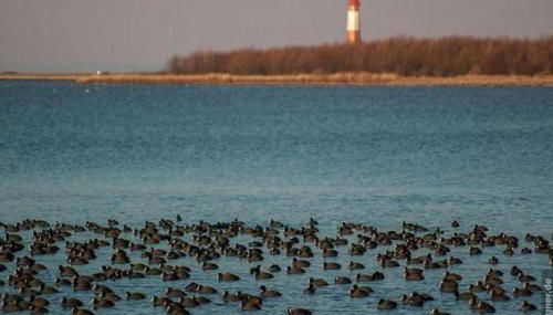 Surf and Chill - Photo 5