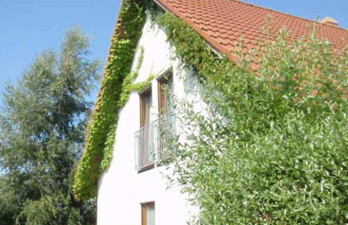 Studio Ole - GM 69107 - Photo 2