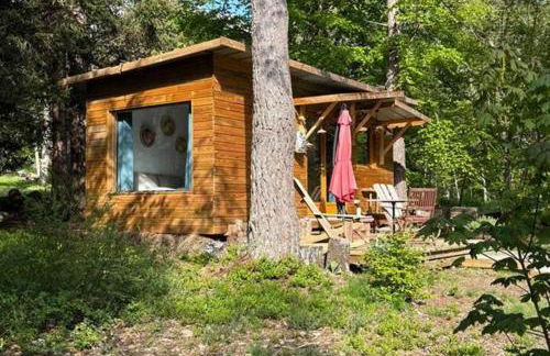 Domaine de la Mamounette - Foto 9