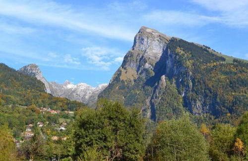 Samoëns 1600 studio au pied des pistes - Photo 6