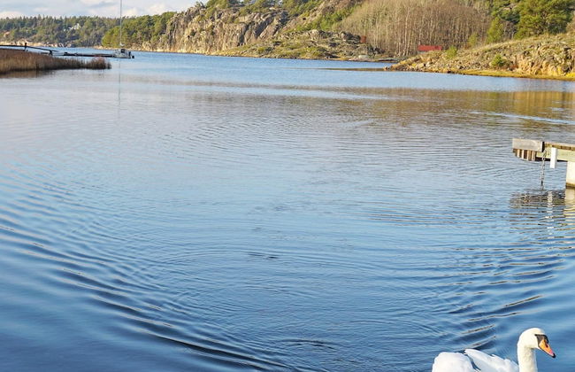 4 Person Holiday Home in Stromstad - Photo 3