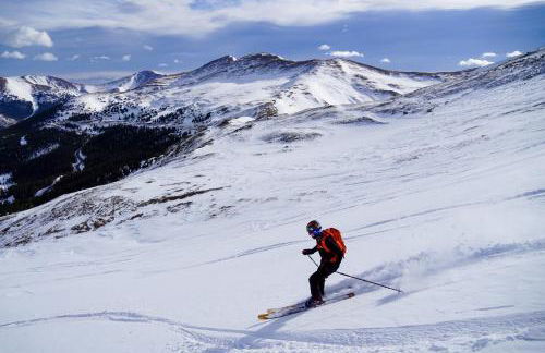 Historic 4 bedroom Victorian Home in Downtown Georgetown - Foto 42