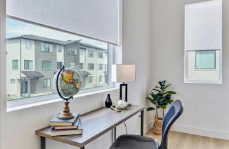 Lemon Breeze - Foto 8