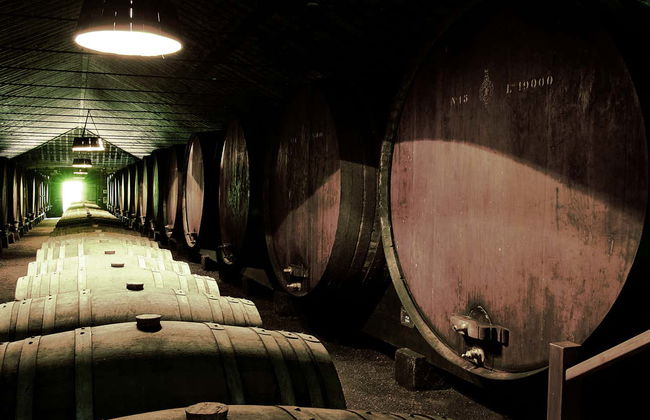 Tour por Arrábida + Cata de vinos - Foto 6