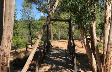 Flat in the Heart of Algarve - Foto 32