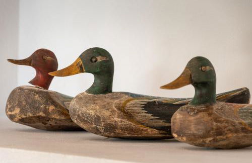 Casas da Horta - Photo 44