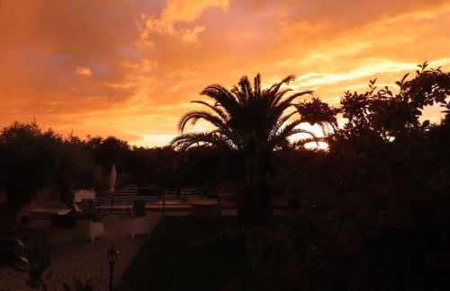 Monte Além Tejo - Foto 49