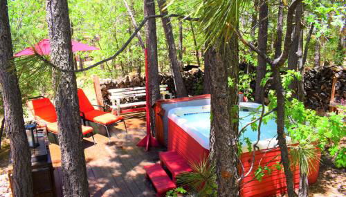 Dream Getaway-Secluded Hot Spa-Walk to Village-Walk to Pineknot Trailhead-Plus King Bed! - Foto 2