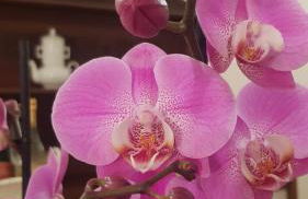 Ginevra Casa Vacanze - Foto 23