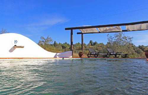 Monte Pinheiro - Foto 29