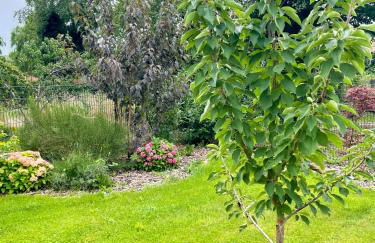 Ferienwohnung Kamrath mit wunderschönem Ausblick - Photo 16