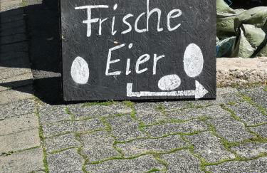 Urlaub auf dem Bauernhof - Foto 24