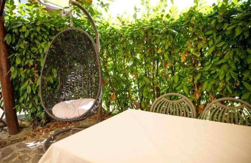 Agriturismo Podere Bucine Basso - Foto 3