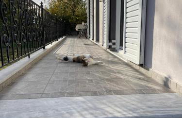 Sofias Cottage Trikala - Photo 49